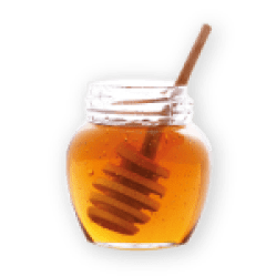 miel de abeja sin fondo